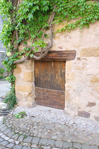 DSCF0665_légères