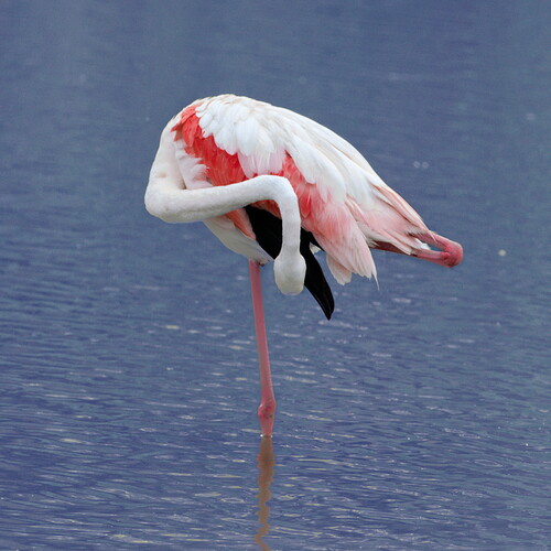 20250615-091106-5-9779-1