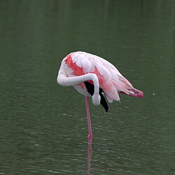 clinart_20250615-091106-5-9779