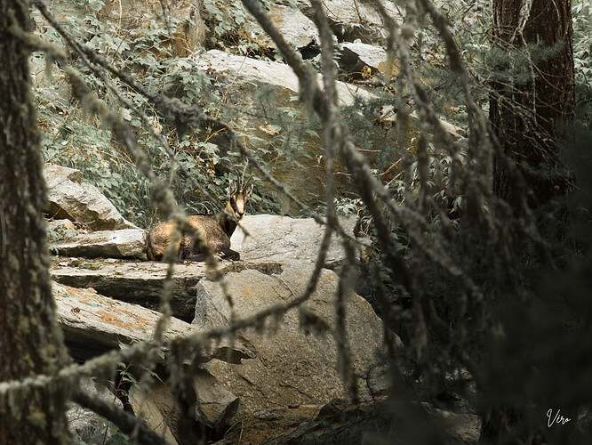 Votre texte de paragraphe