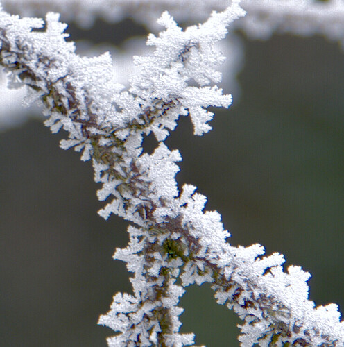 Capture d’écran du 2026-01-14 19-52-37