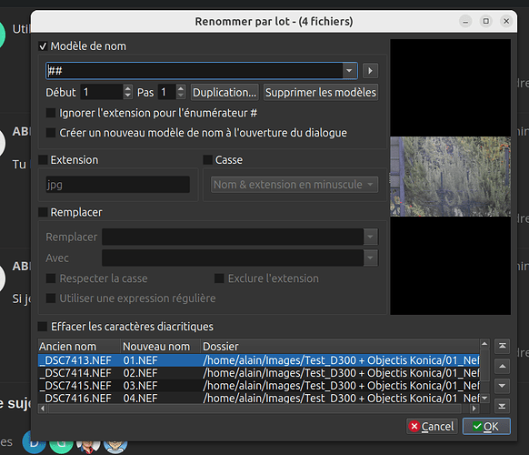 02_Renommer par lot_XnviewMP