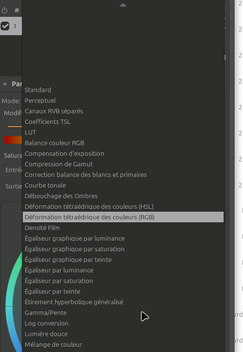 Capture d’écran dsdfzefru 2025-11-30 13-22-50