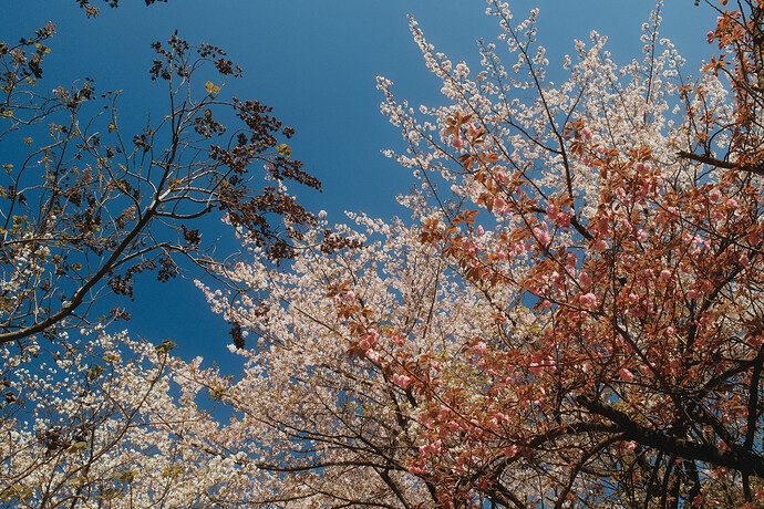 DSCF0325