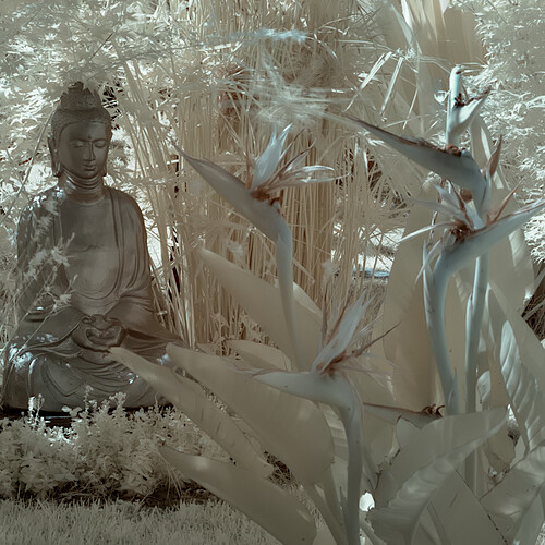 PentaxK100_IR