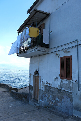 DSCF6453-1