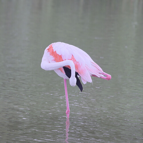 20250615-091106-5-9779