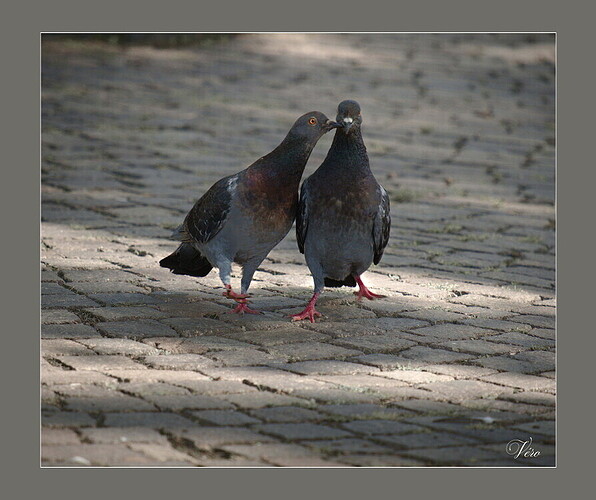 78e8067f3b66c568638cdc2d125911e996574d91_2_894x750-1