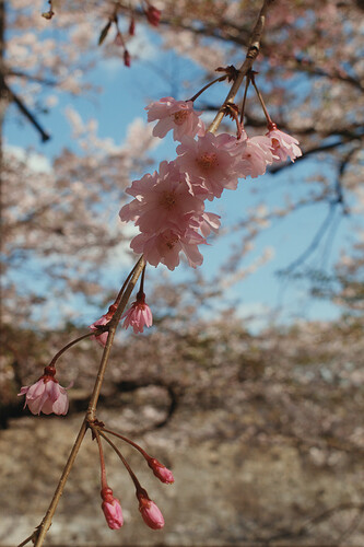 DSCF0289
