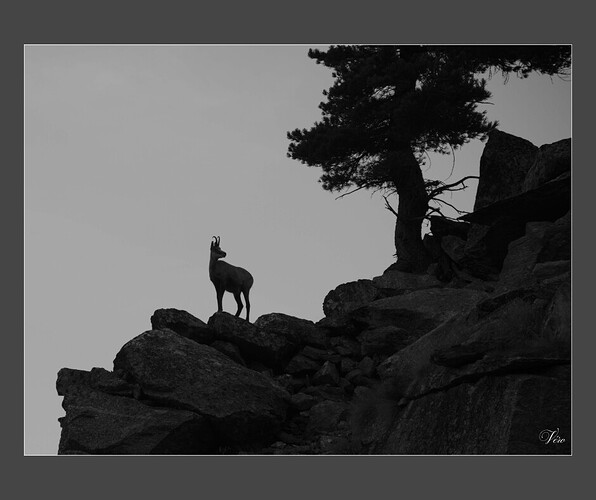 Ajouter un titre (1)