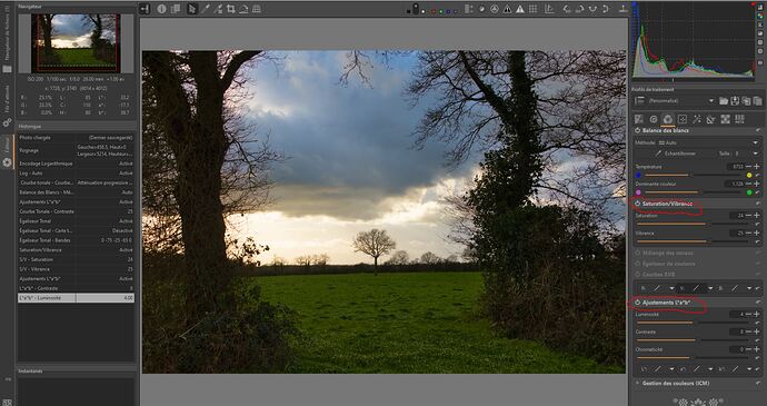 8 - Couleurs Saturation Vibrance