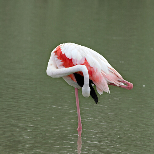 20250615-091106-5-9779_2