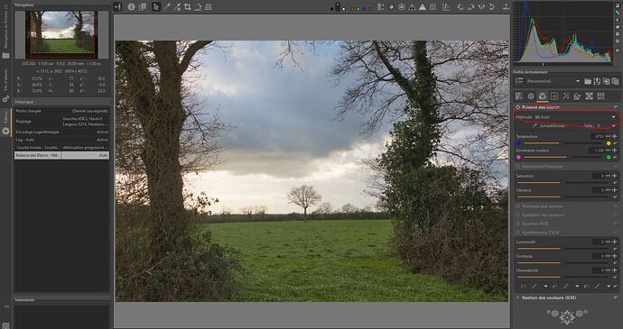 5 - Balance des couleurs