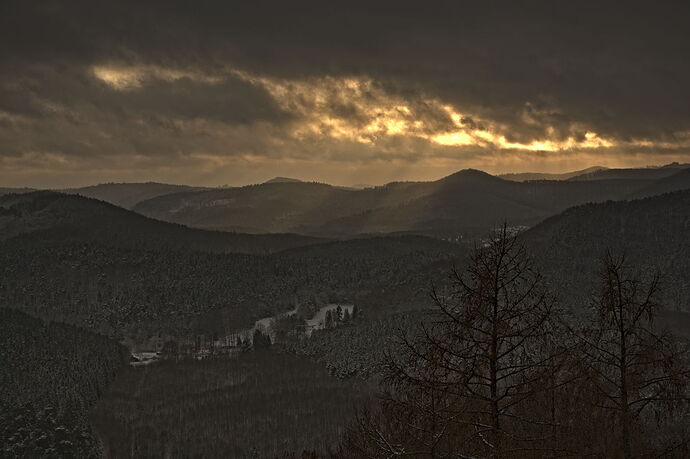 optionclinart_DSC_8864